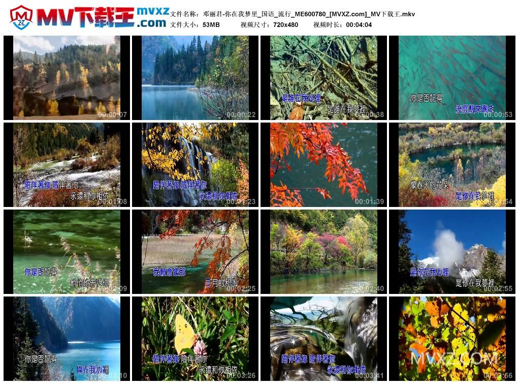 邓丽君-你在我梦里_国语_流行_ME600780